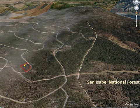 3375 Purnell Lane Fort Garland CO 81133