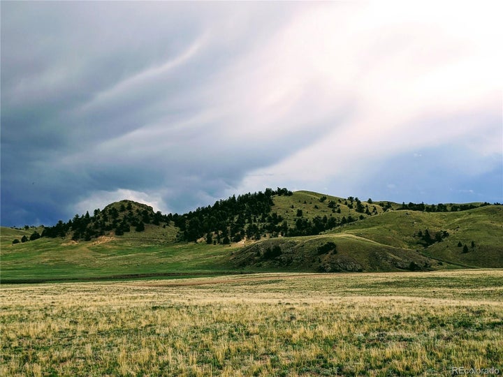 Photo 1 of 40 — 2667 Cahokia Road, Hartsel, CO 80449