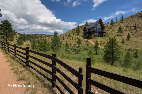 16320 Cochise Trail Pine CO 80470
