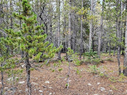 Lot 278 Lower Forest Rd, Idaho Springs, CO 80452 - #: 9375238