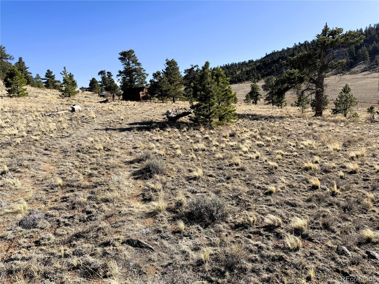 0000 Crazy Horse Trail