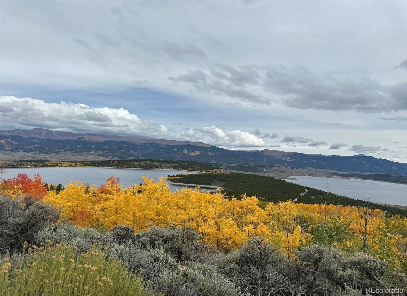 1111 George Safken Road