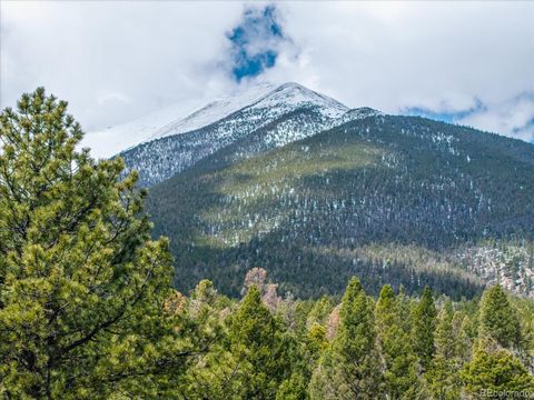 24900 County Road 339 Buena Vista CO 81211