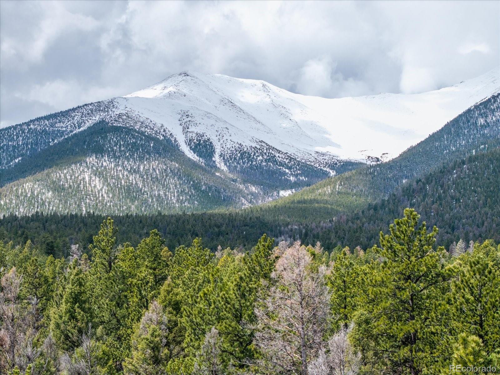 24900 County Road 339