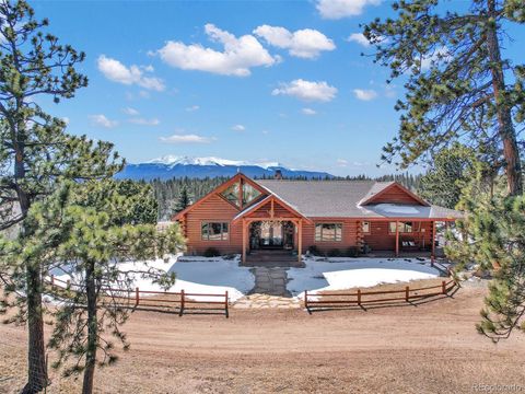 1761 County Road 5, Divide, CO 80814 - #: 1758691