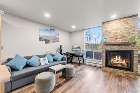 490 Straight Creek Drive 520 Dillon CO 80435