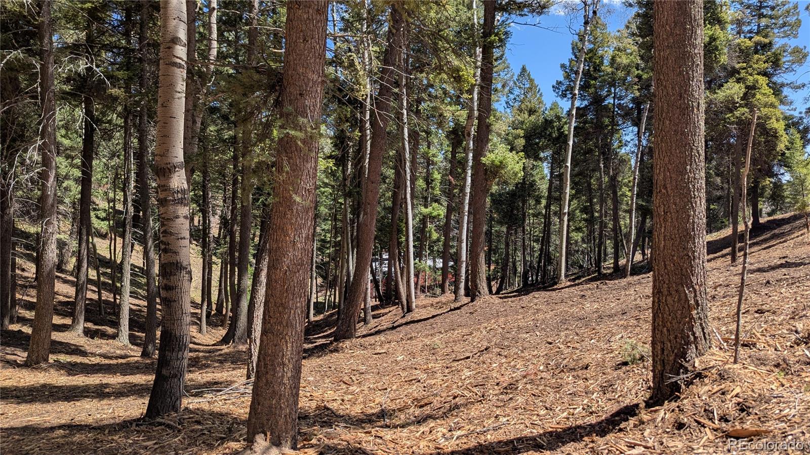 13886 Boulder Lane