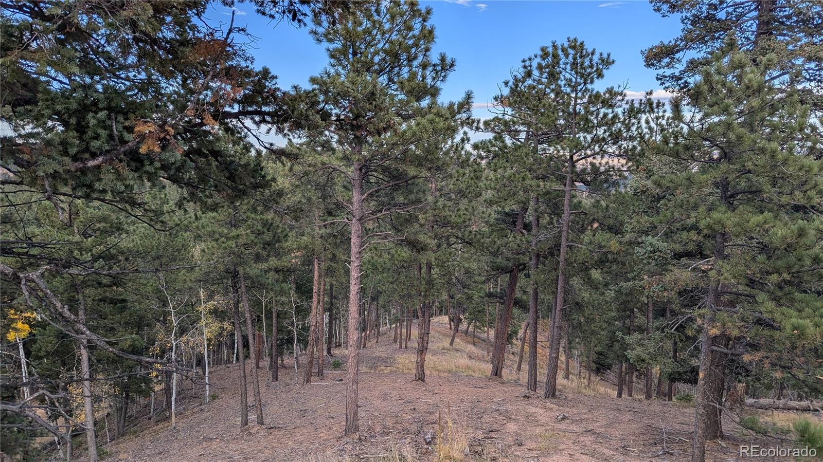 13886 Boulder Lane