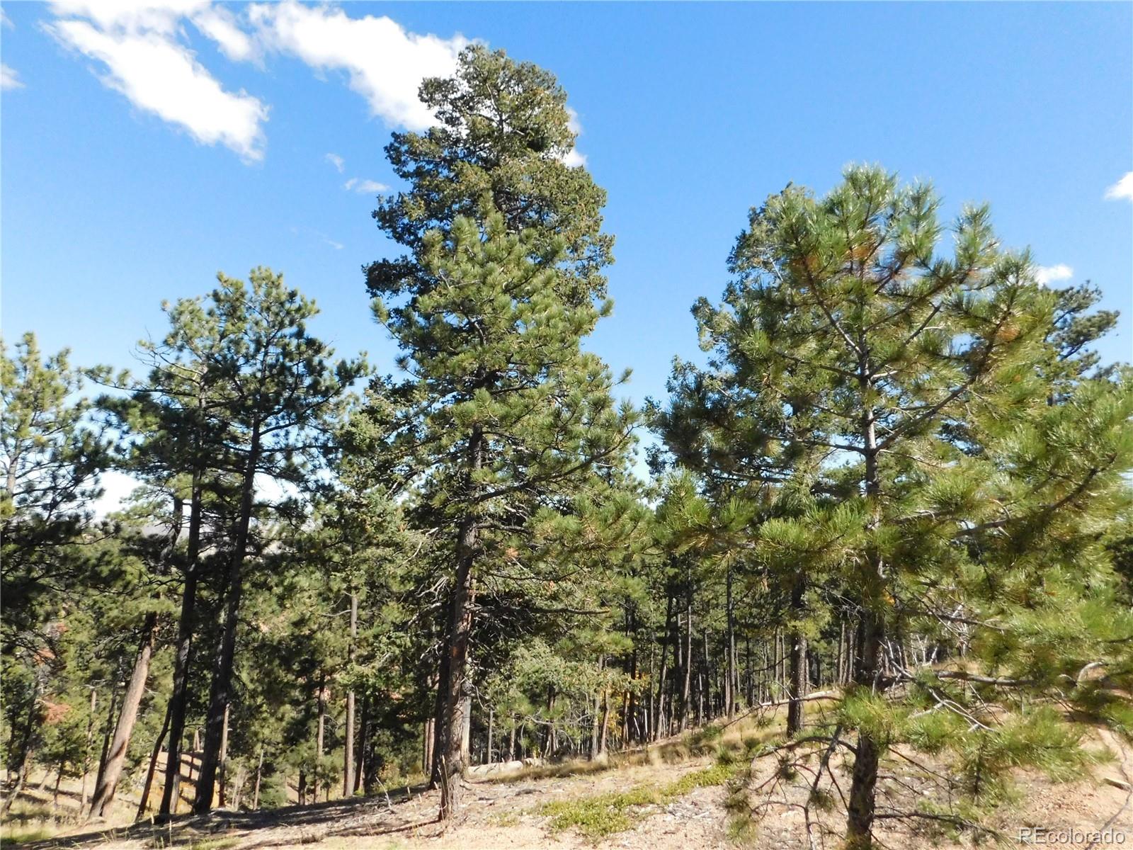 13886 Boulder Lane, Larkspur, CO, 80118 13886 Boulder Lane