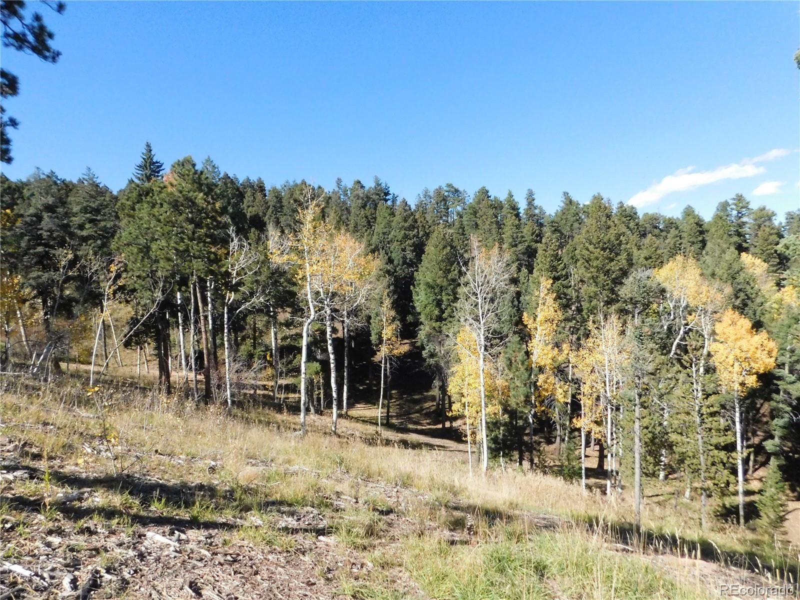 13886 Boulder Lane, Larkspur, CO, 80118 13886 Boulder Lane