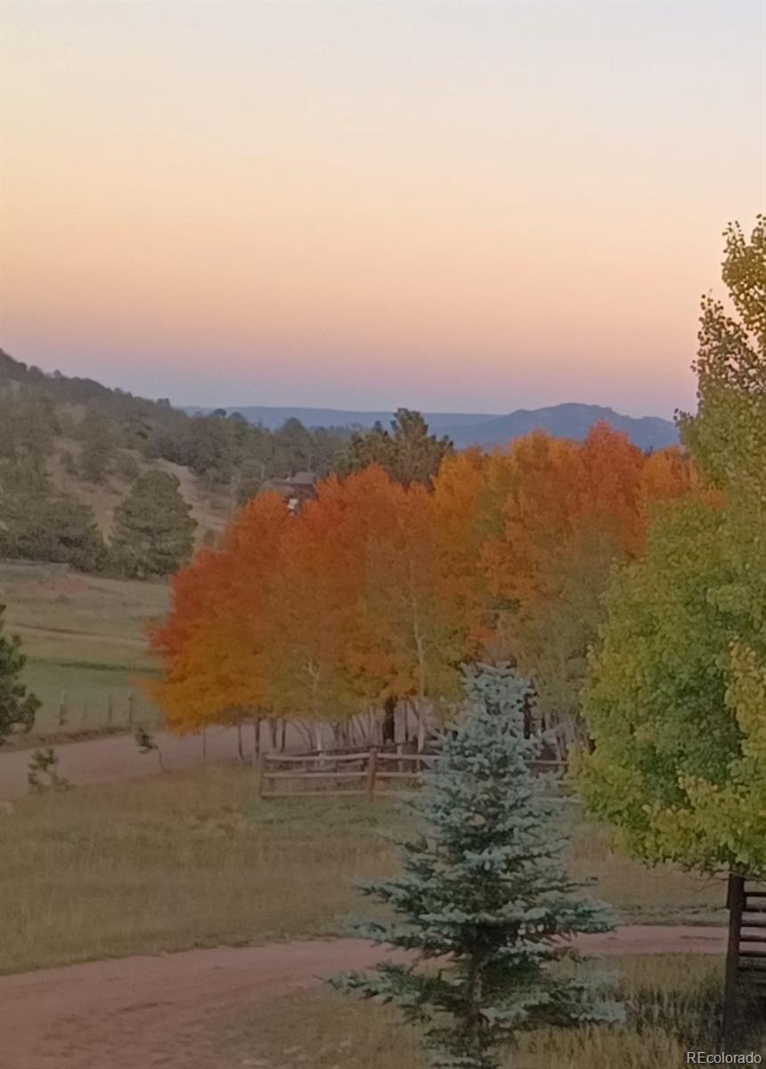119 Quakie Way, Bailey, CO, 80421 4 119 Quakie Way