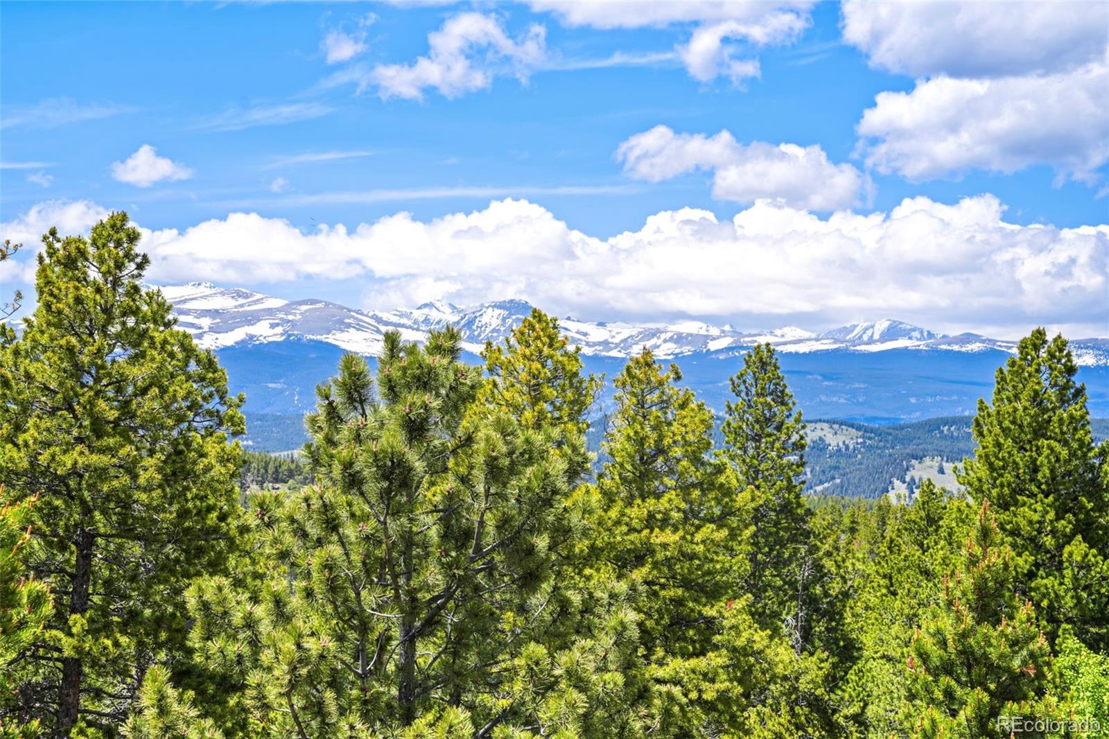 109 Cutforth Road, Black Hawk, CO, 80422 4 109 Cutforth Road