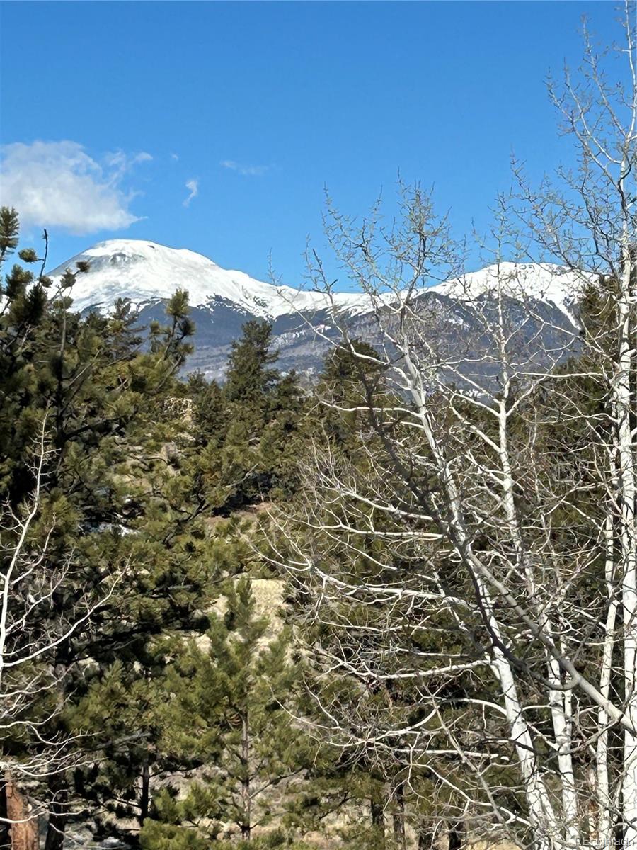 2146 Wagon Wheel Road