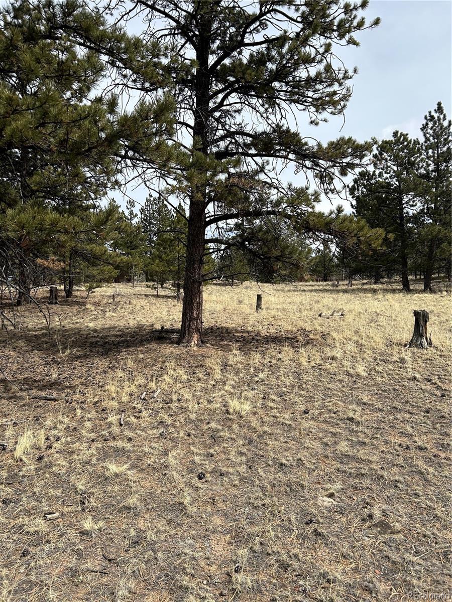 2146 Wagon Wheel Road