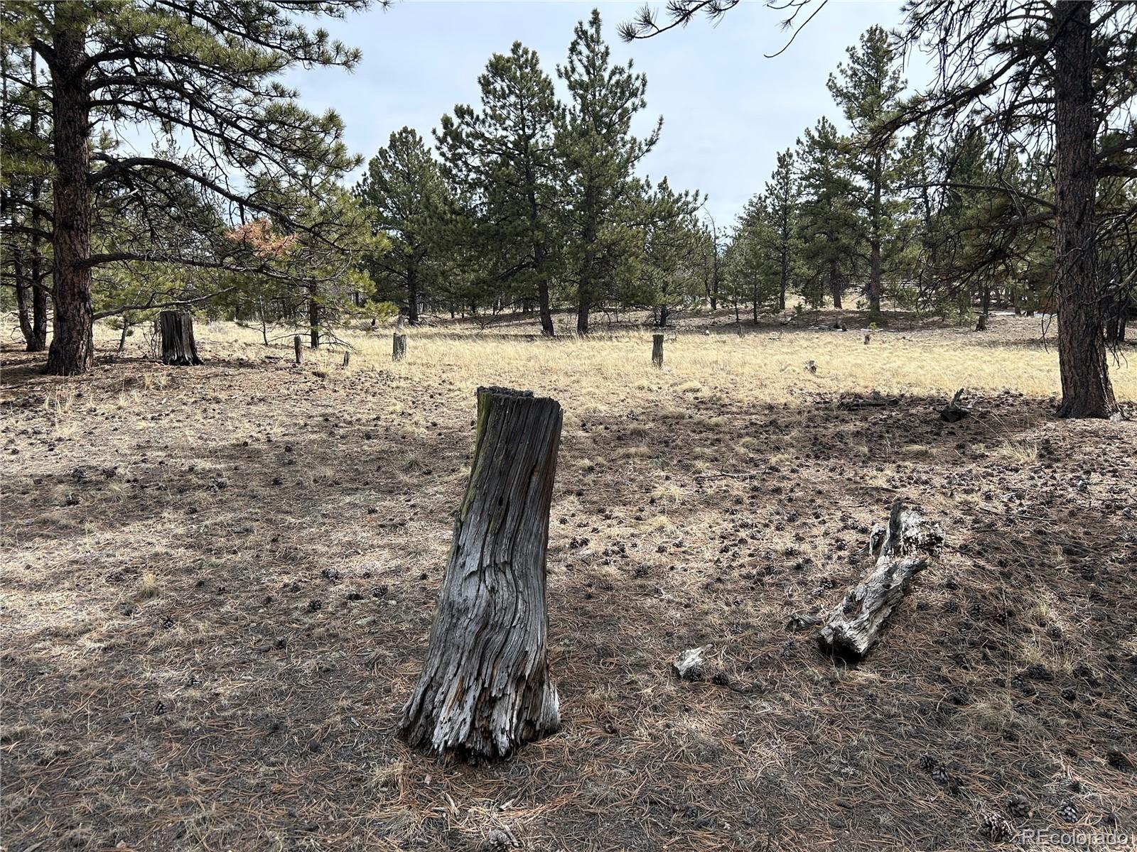 2146 Wagon Wheel Road