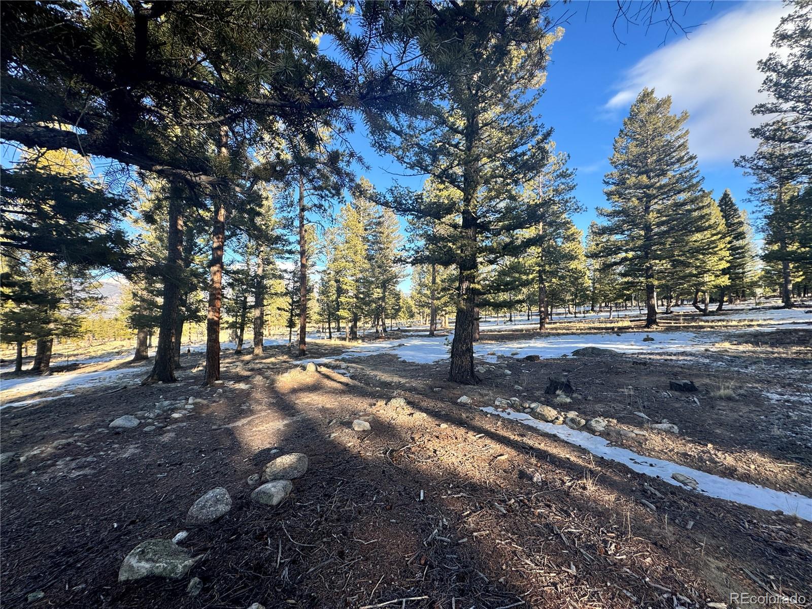 30470 Harvard Circle