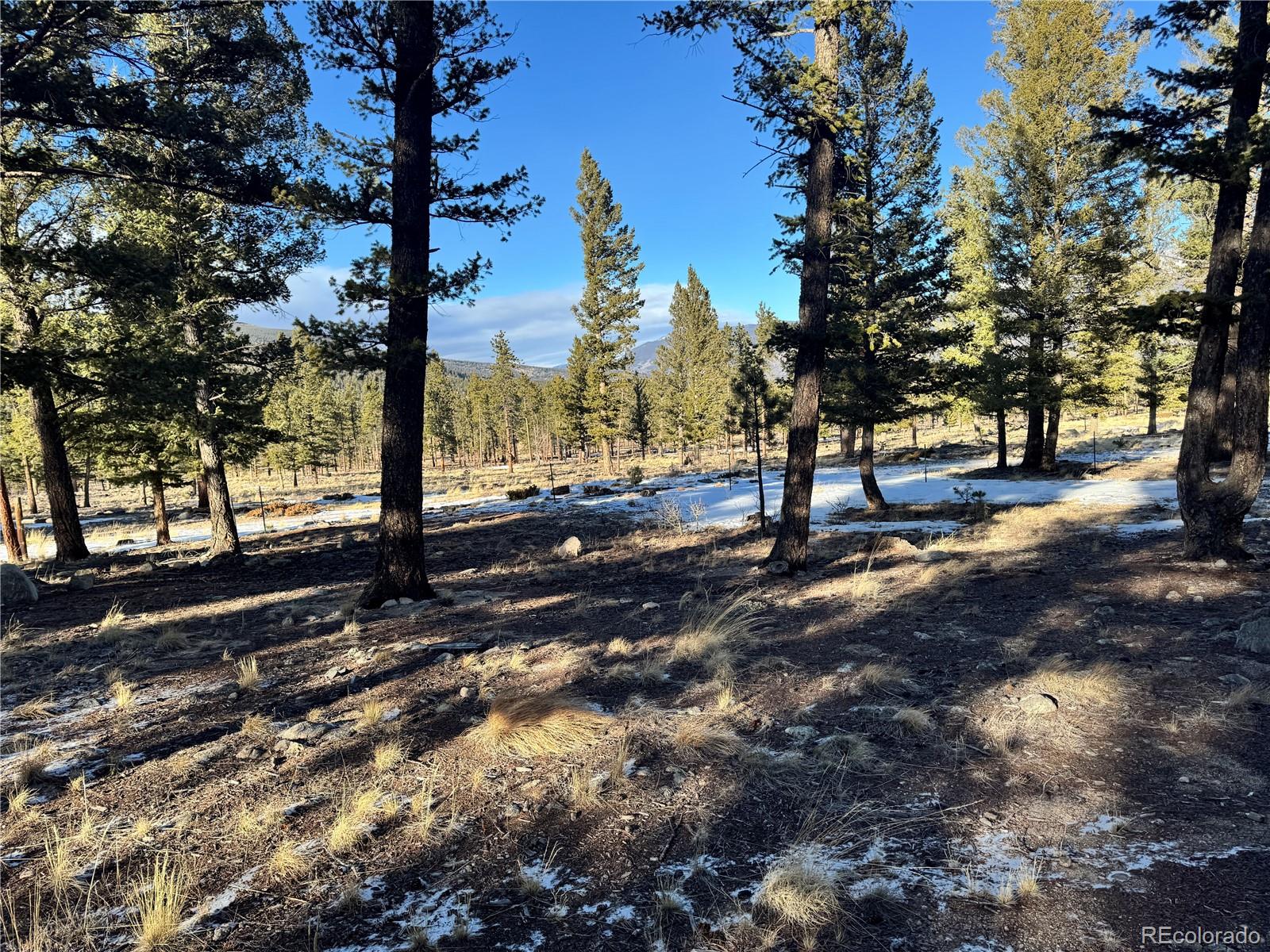 30470 Harvard Circle