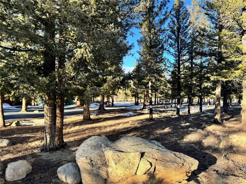 30470 Harvard Circle Buena Vista CO 81211