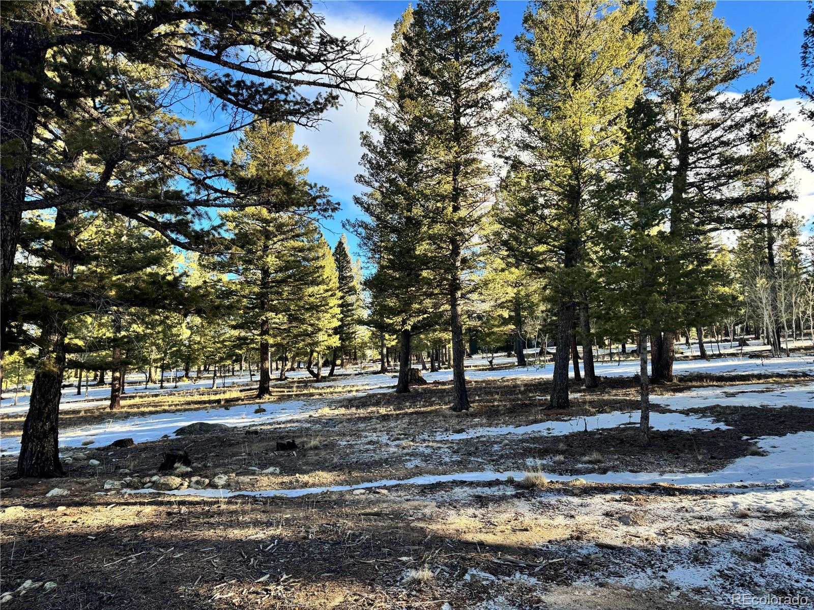 30470 Harvard Circle