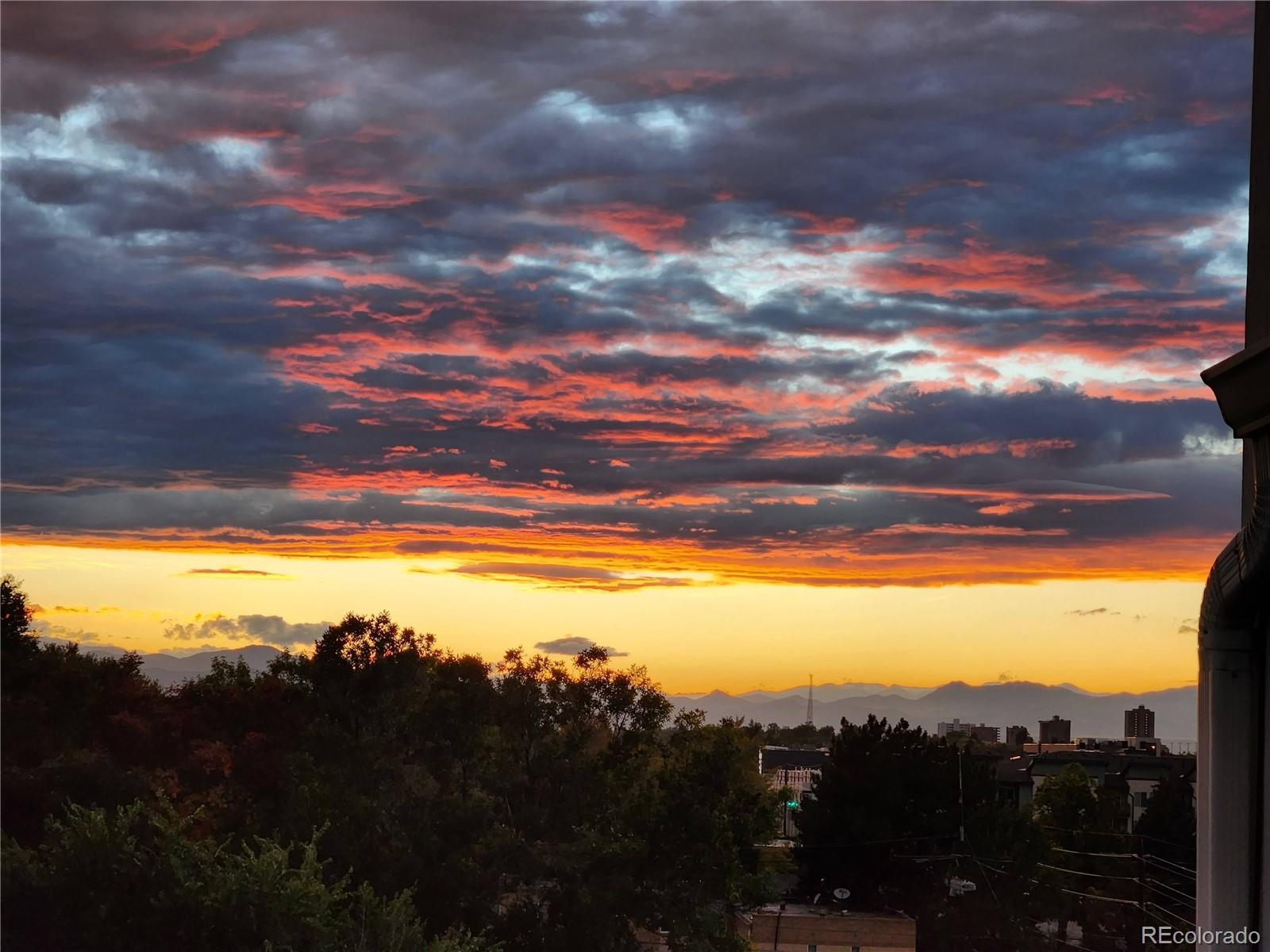 799 Dahlia Street 601