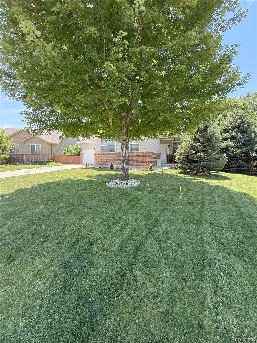 8010 Raspberry Drive