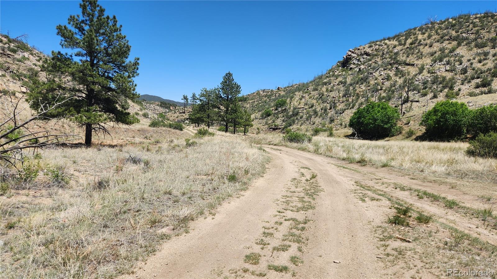TBD L 35th Trail - Photo 4