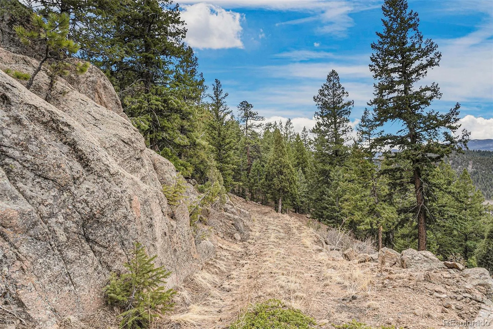 Evergreen, Colorado 80439, United States, ,Land,Active,73083