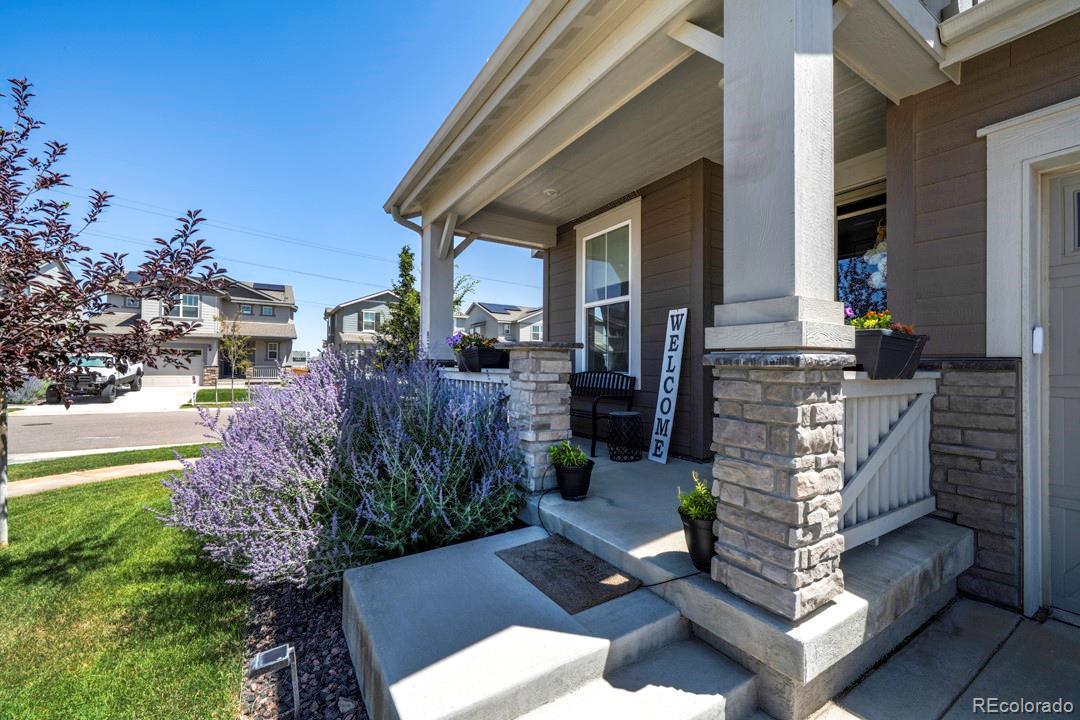 10244 Ursula Court