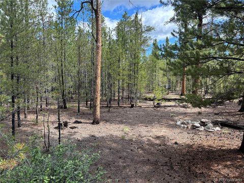 399 Fir Drive Twin Lakes CO 80461