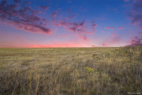 36190 Hanisch Road Calhan CO 80808
