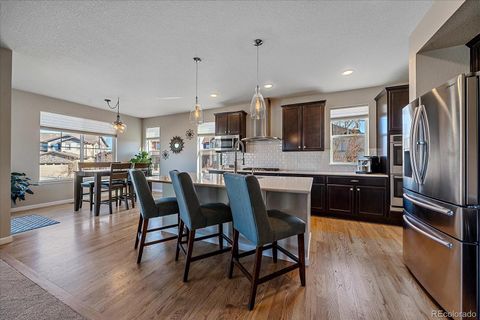 Single Family Residence in Aurora CO 26927 Irish Avenue 9.jpg