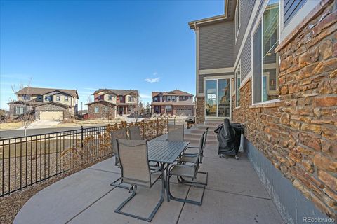 Single Family Residence in Aurora CO 26927 Irish Avenue 29.jpg