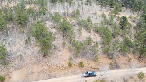 397 Neish Street Bailey CO 80421