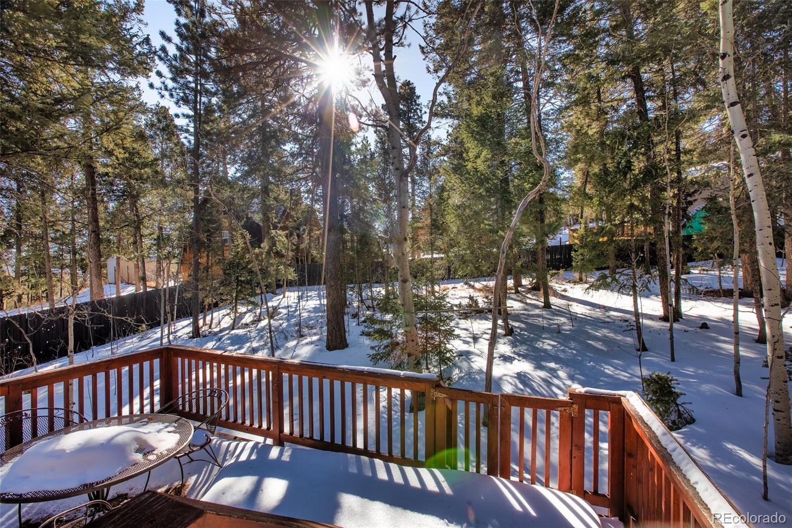 1321 W Midland Avenue, Woodland Park, CO, 80863 1 1321 W Midland Avenue