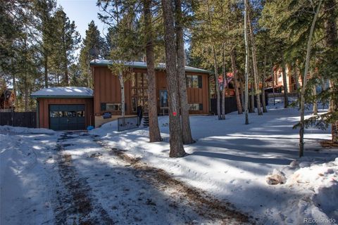 1321 W Midland Avenue Woodland Park CO 80863