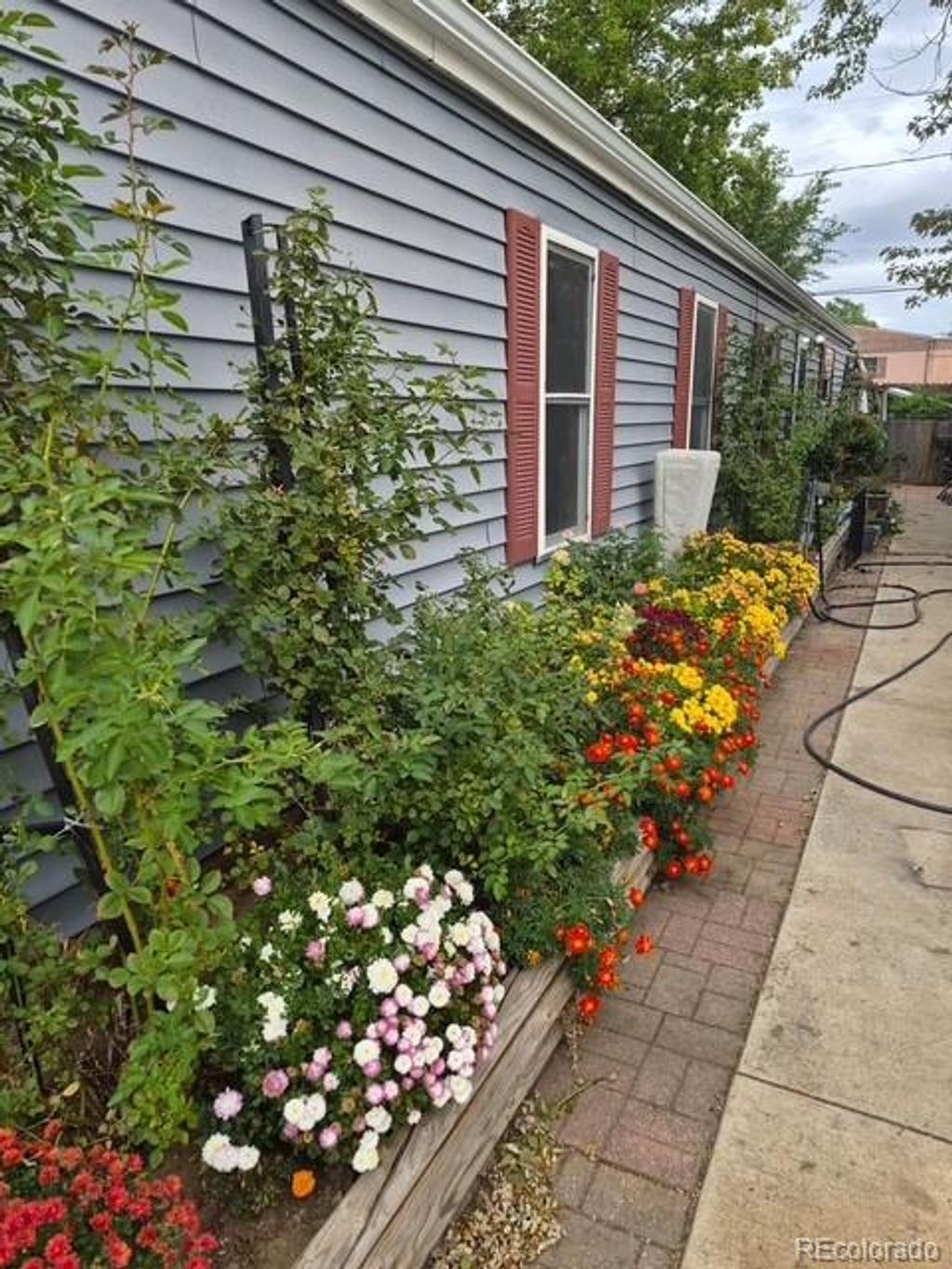 Photo of 308 Elm Street, Lochbuie, CO 80603 (MLS # 7602476)