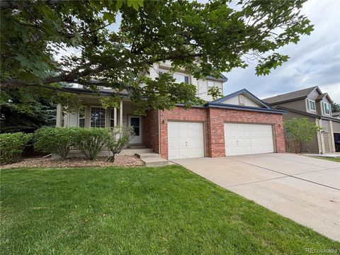 10027 Sylvestor Road Highlands Ranch CO 80129