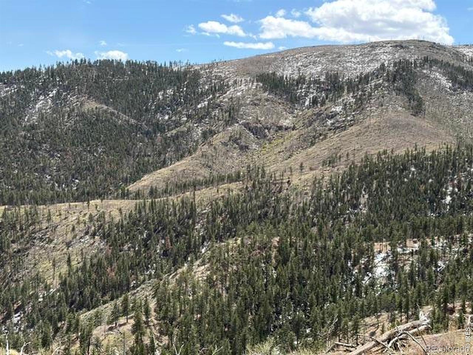 711 Saddle Ridge Road