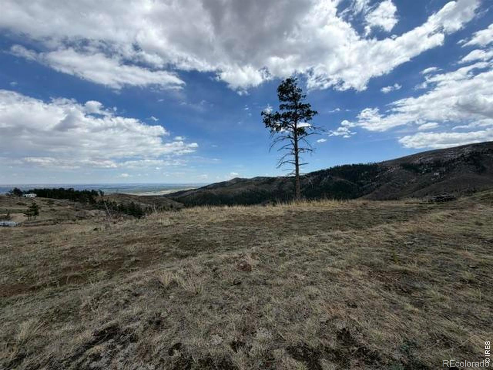 711 Saddle Ridge Road