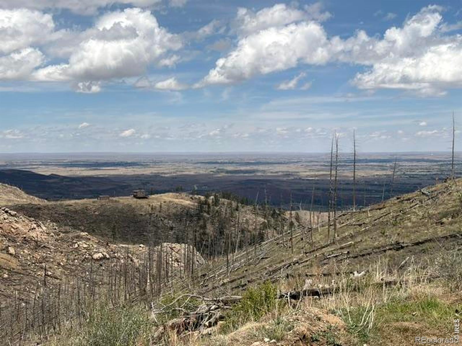 711 Saddle Ridge Road