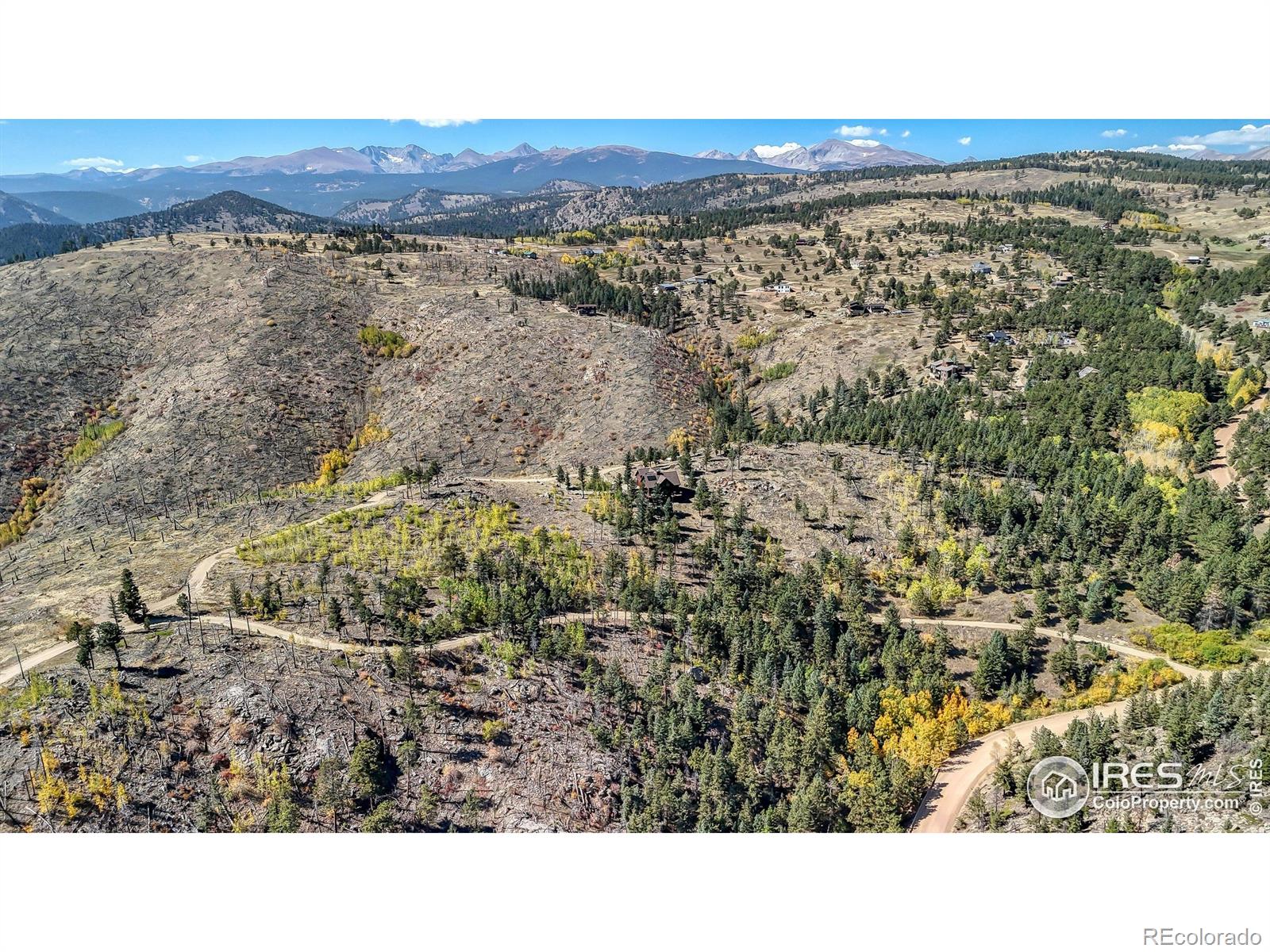 98 Rim Road
