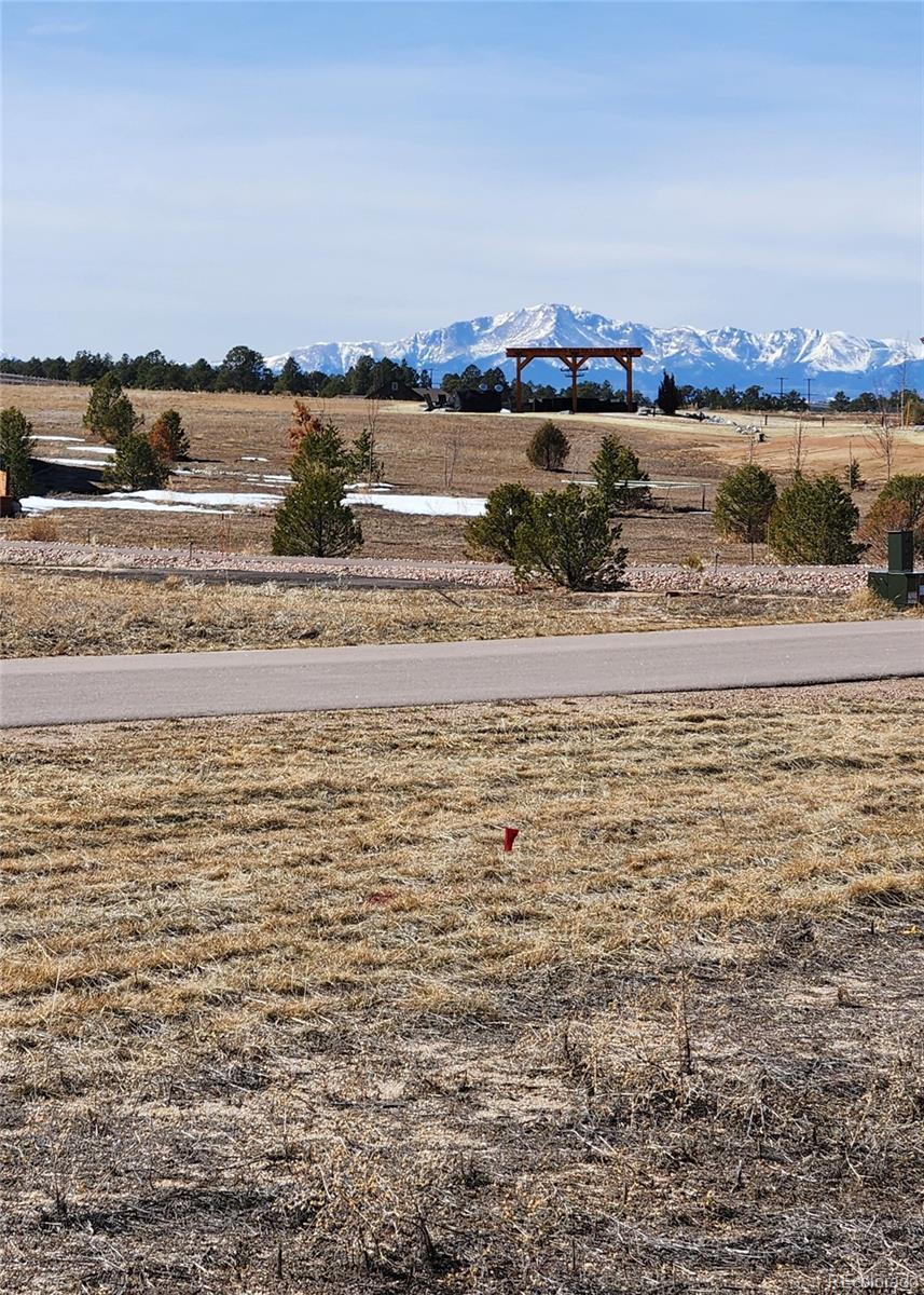 11866 Alamar Way, Colorado Springs, CO, 80908 4 11866 Alamar Way