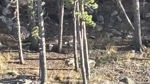 1 Miners Road Black Hawk CO 80422