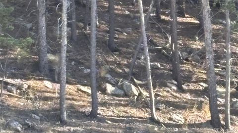 1 Miners Road Black Hawk CO 80422