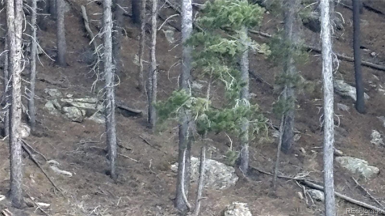 1 Miners Road