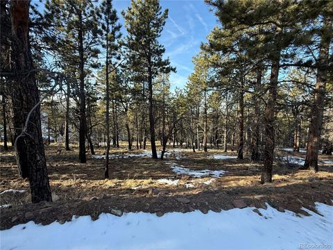 Lot 356 Spangle Drive Fort Garland CO 81133