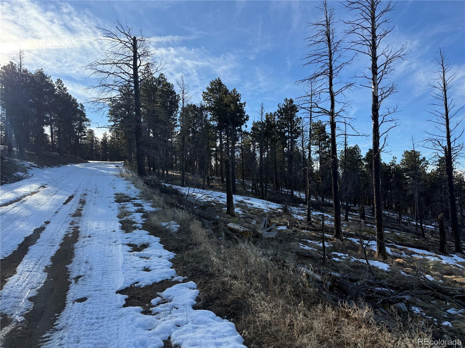 Lot 356 Spangle Drive