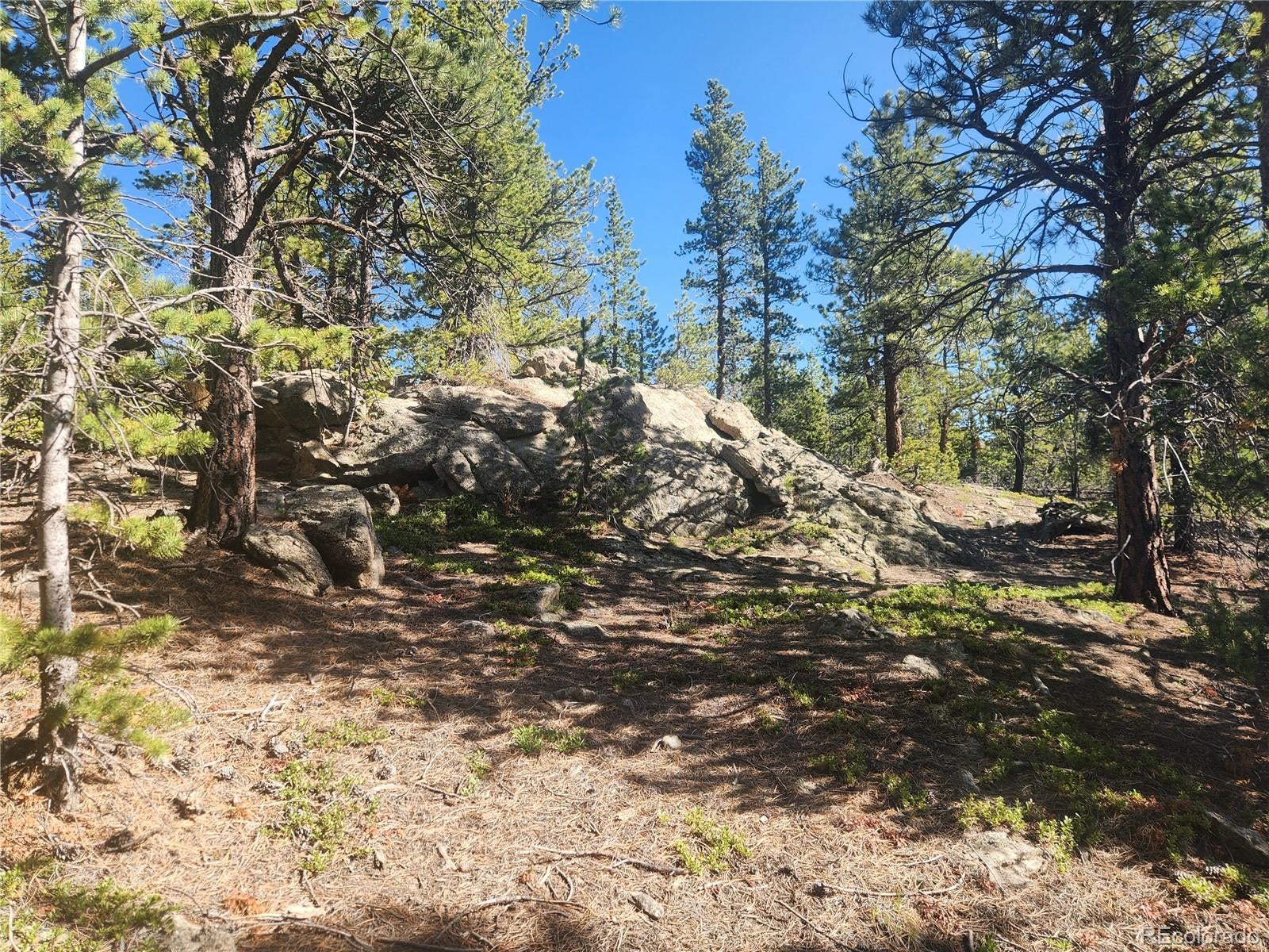 13 Paradise Valley Parkway