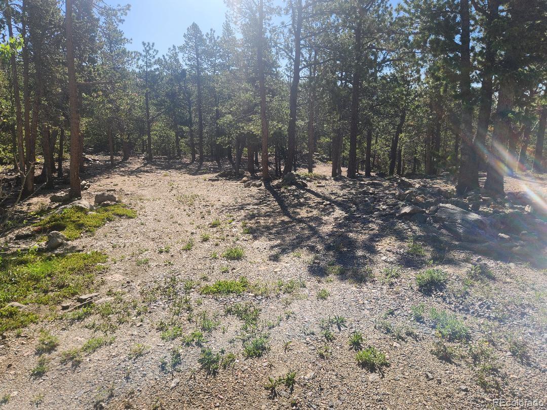 13 Paradise Valley Parkway