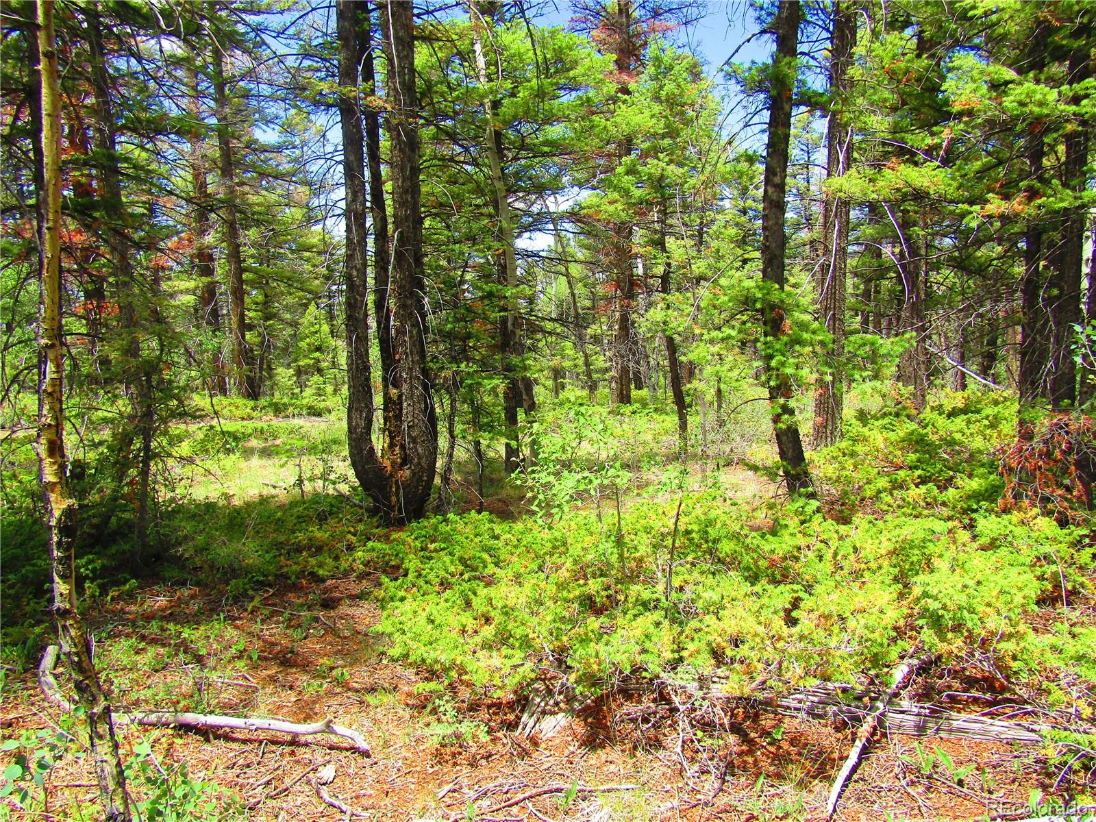 LOT 6082 Stella Road Road